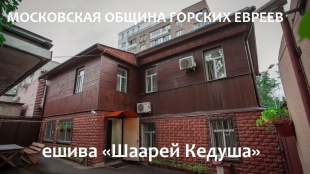 Ешиве «Шаарей Кедуша» 8 лет