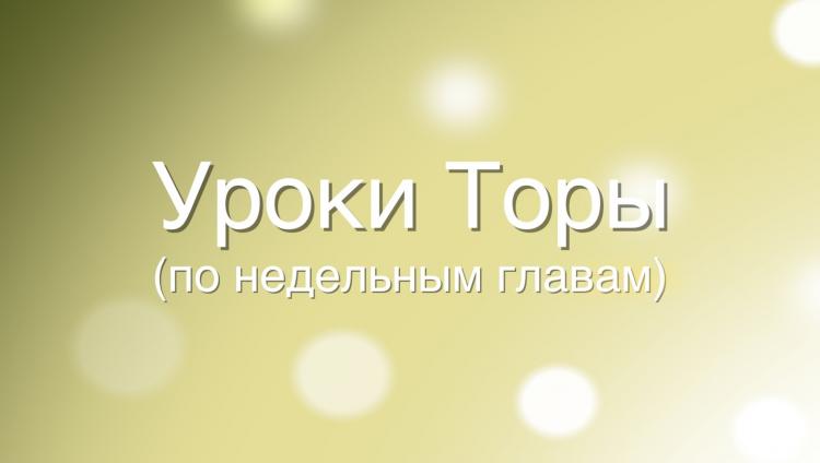 Комментарии рава Адама Давидова к недельной главе «Ноах»