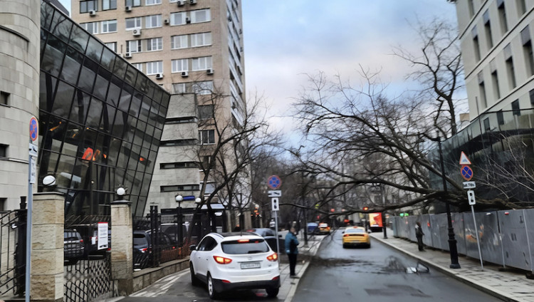 Шторм повалил дерево у синагоги на Большой Бронной в Москве