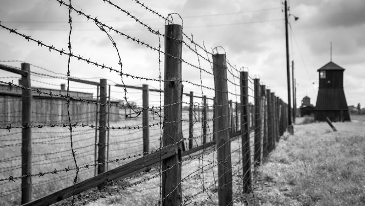 В ФРГ открыто расследование в отношении 100-летнего бывшего охранника концлагеря