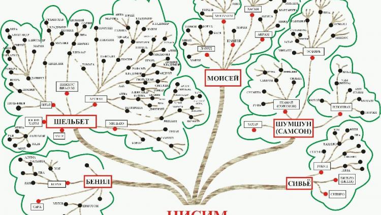 Генеалогия как средство сохранения национальной идентичности