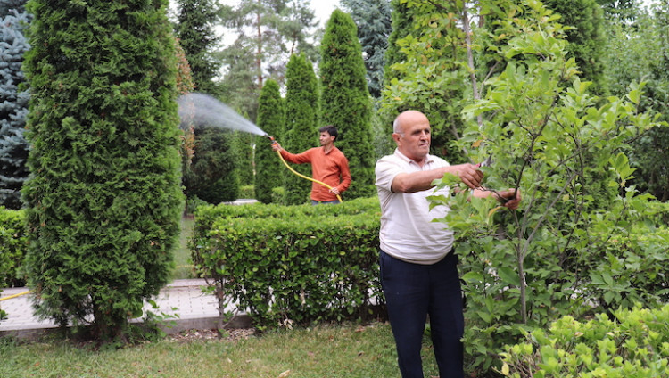 Блюстители красоты