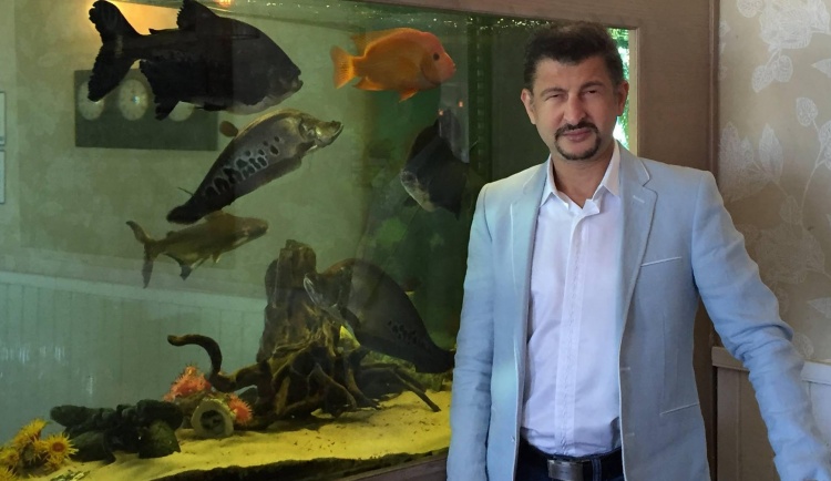 К юбилею Шауля Симан-Тов