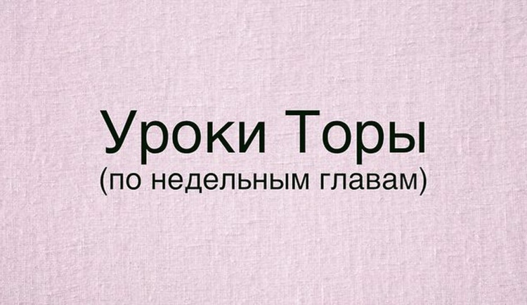 Установил ли ты для себя расписание занятий Торой?
