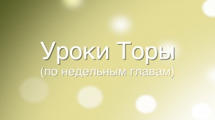 Комментарии рава Адама Давидова к недельной главе «Ки теце»
