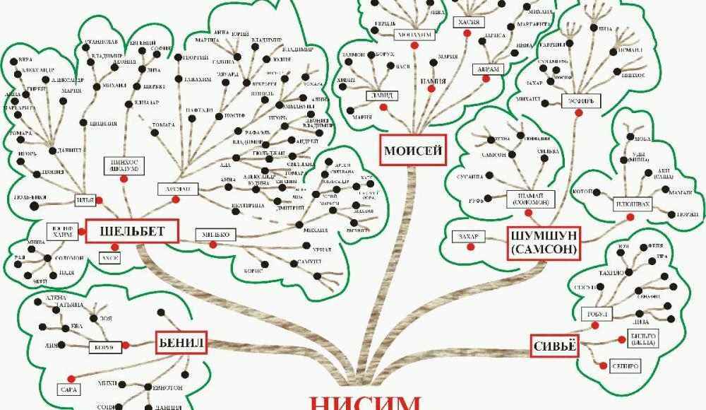 Генеалогия как средство сохранения национальной идентичности