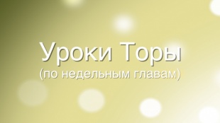 Комментарии рава Адама Давидова к недельной главе «Пинхас»