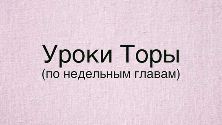 Комментарии рава Йонатана Салема к недельной главе «Аазину»