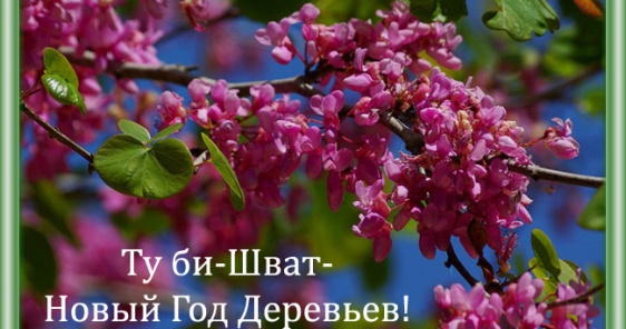 Герман Захарьяев поздравляет всех с праздником Ту би Шват!