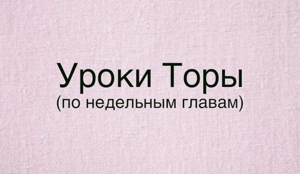 Комментарии рава Йонатана Салема к недельной главе «Аазину»