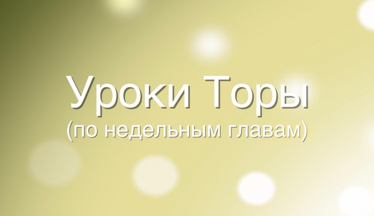 «Я свободный человек, никто мне не указ!»