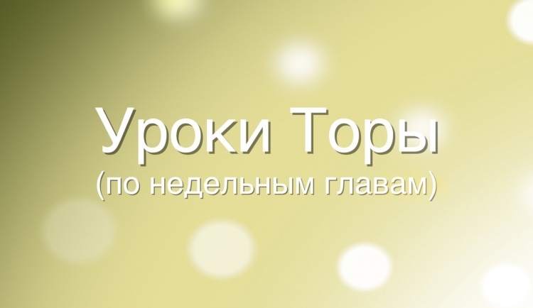 Комментарии рава Адама Давидова к недельной главе «Шофтим»