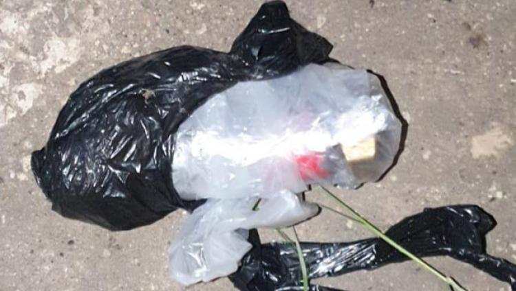 В Иерусалиме пес помог найти  бомбы, изготовленные террористом