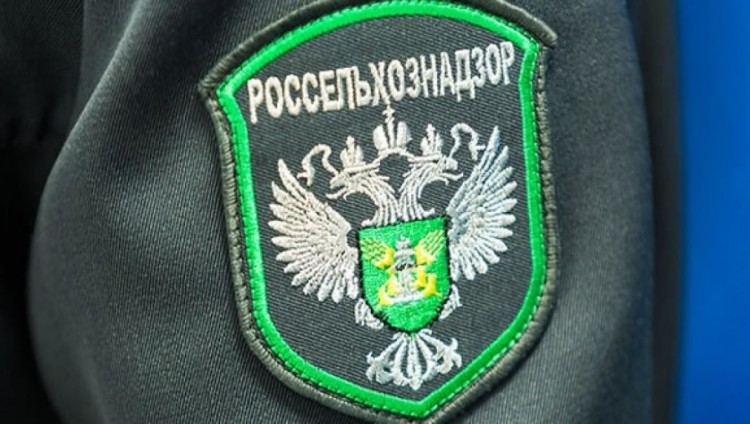 Российские сельхохпроизводители заинтересованы в поставках в Израиль яиц и баранины