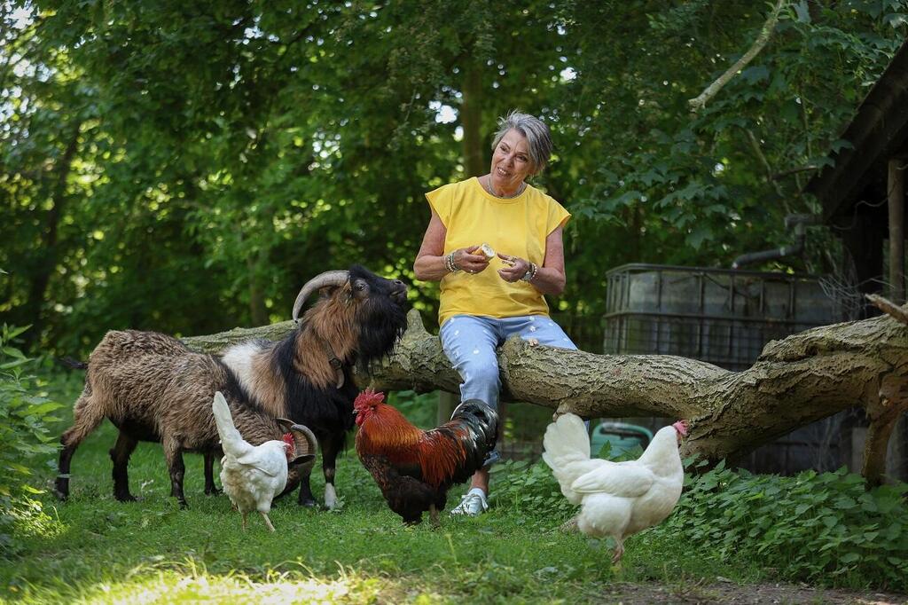 rJGDIRNOOn_0_0_1300_866_0_x-large.jpg