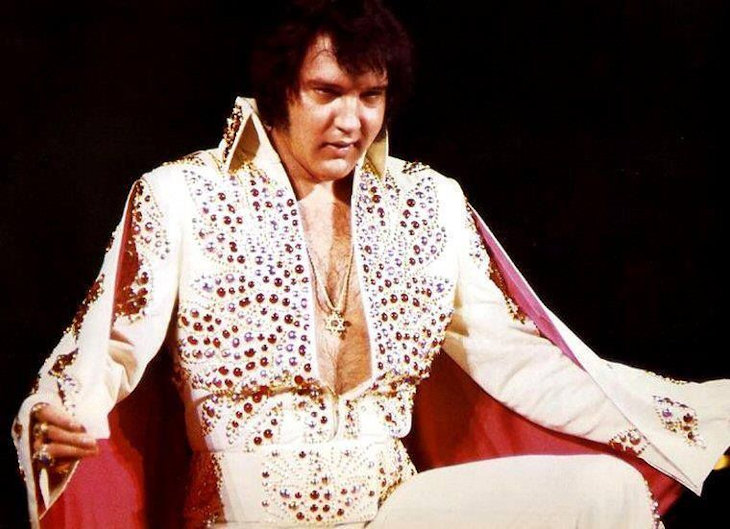 Elvis-7-24-2022_htm_bc56f4969c365c5e.jpg Elvis-7-24-2022_htm_bc56f4969c365c5e.jpg