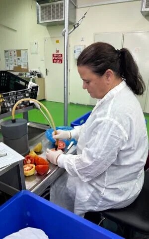 IMG_4823-300x480_5_csecollege.jpeg