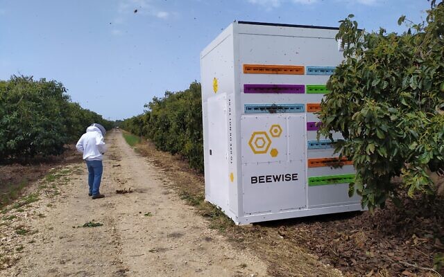 Beehome-1-640x400.jpg