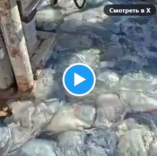 Снимок.JPG