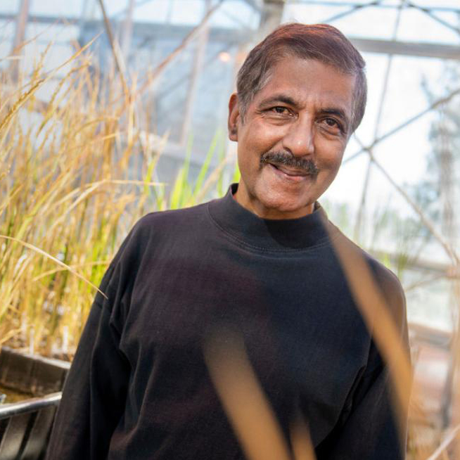 venkatesan-sundaresan-uc-davis.jpg