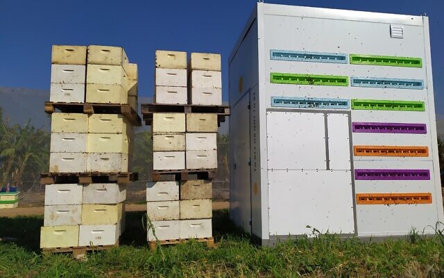Beehome-compared-with-traditional-hives-640x400.jpg