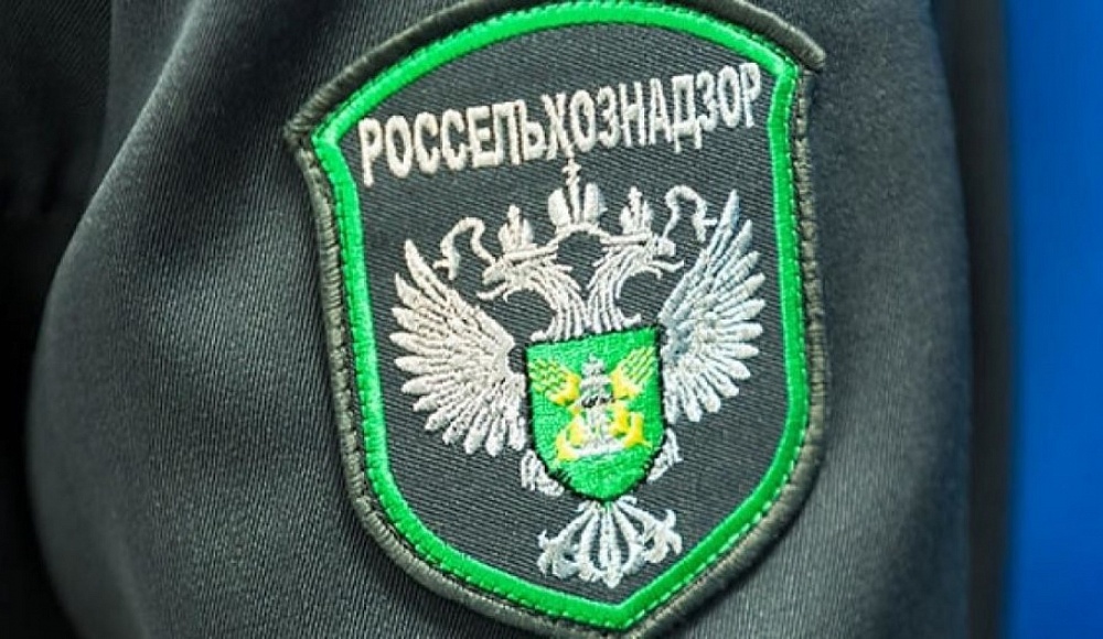 Российские сельхохпроизводители заинтересованы в поставках в Израиль яиц и баранины