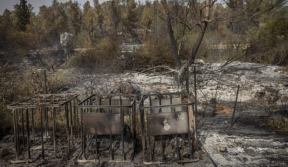 После 30 часов борьбы достигнут полный контроль над всеми зонами пожара в Иерусалимских горах
