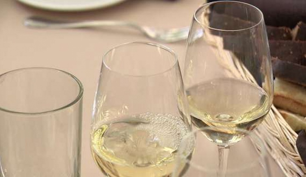30 российских вин получили медали на международном конкурсе Terravino-2022 в Израиле