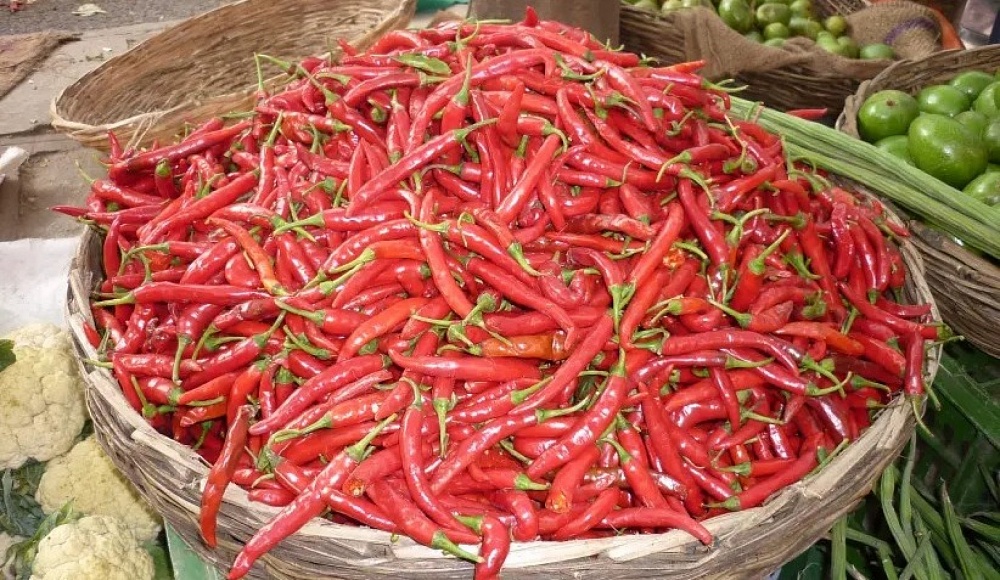 Red hot: ген, который позволяет есть огромное количество перца чили, обнаружен в Израиле