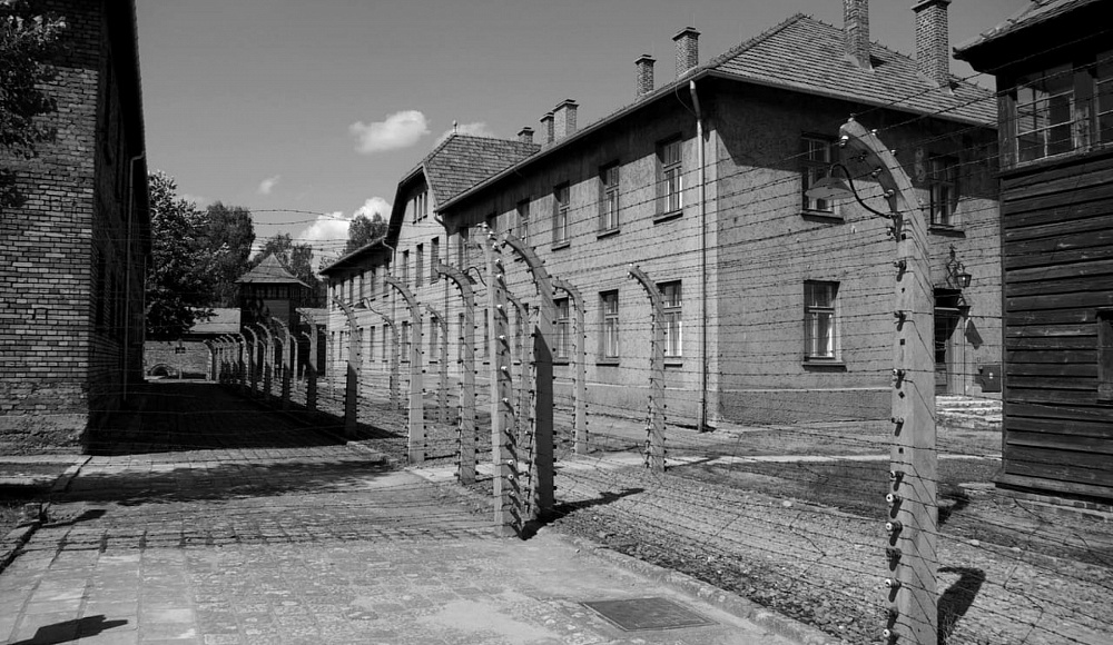 Исследование: потомки переживших Холокост более психологически устойчивы, чем остальные израильтяне